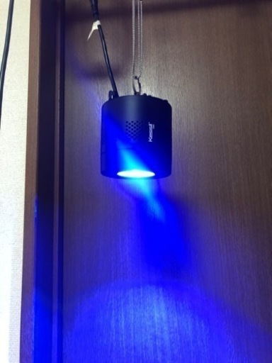 Kessil A350 水槽用LED照明