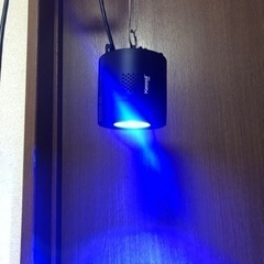 Kessil A350 水槽用LED照明の画像