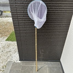 虫取り網