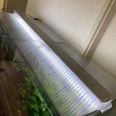 コトブキ　1200水槽セット