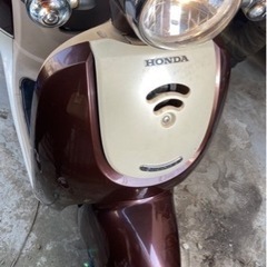 ジョルノデラックス ブラウン