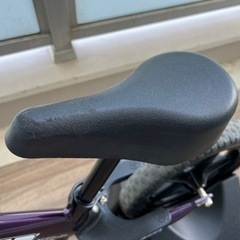 ストライダー】ストライダープロ(メタリックパープル)