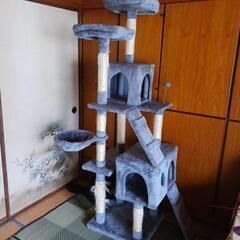 決まりました 受け取り早い方 価格変更 🐱キャットタワー🗼の画像