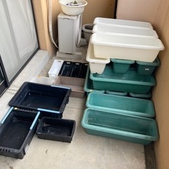 【取引者決定】メダカ育成セット　バラ売り不可