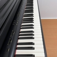 CASIO セルビアーノの画像