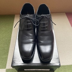 シークレットシューズの画像