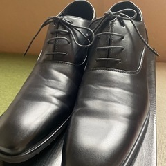 シークレットシューズの画像