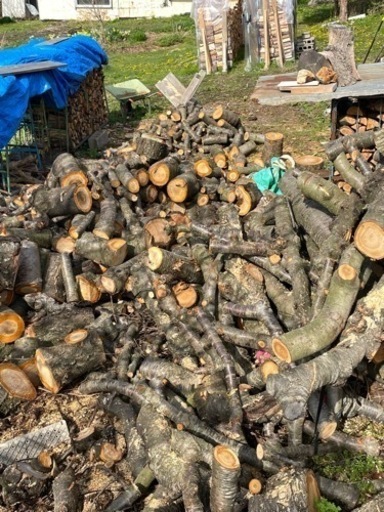 サクランボ 玉切り丸太 原木 軽トラ等1台分