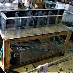 １２０×３０×ｈ３０　オーバーフローマンション　６部屋