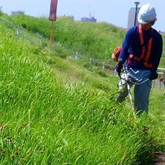 草刈、枝切、草むしり、などなど　軽作業スタッフ募集中！