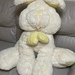 受付期間、6月10日とします。それ以降は処分します