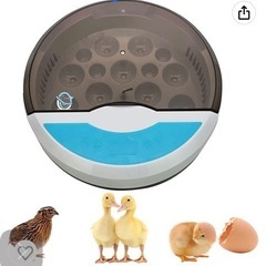 孵化器　【値下げしました】