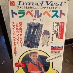 チャイルドシートみたいなの