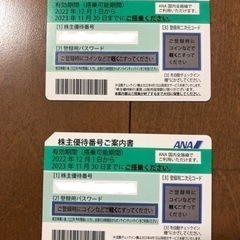 ANA 株主優待券　2023年11月30日まで