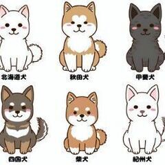 🐶🐕ドッグフード🐕🐶