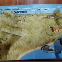 めくって発見えほん どうぶ、知的好奇心を育てる 仕掛け図解動物絵本の画像