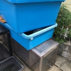 値下げしました！ブルコンテナ180 角タブ　金魚メダカ亀爬虫類プ...