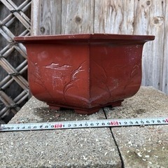 ②植木鉢。