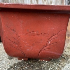 ②植木鉢。
