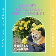 アニマルコミュニケーション&レイキヒーリング体験しませんか？