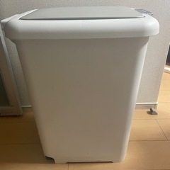 45ℓ ペダル付きゴミ箱の画像