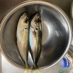 津軽地方で釣り仲間！ - つがる市