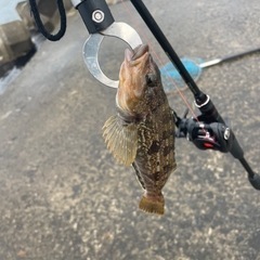 津軽地方で釣り仲間！ − 青森県