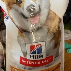 ドッグフード