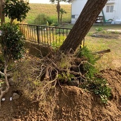 お家の外構工事 承ります。お見積り、相見積もりだけでも！ - 甲斐市