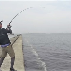 釣り仲間募集