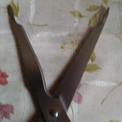 キッチンバサミ ステンレス製 料理 世界の料理人 中村孝明 ウロコ取り 刃物の画像