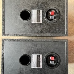 sony ss-p303av