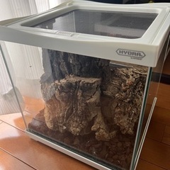 爬虫類 ケージ ヤモリ ヘビ ゲージ