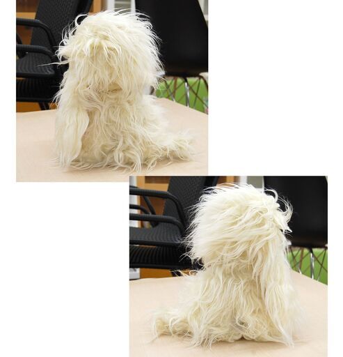 昭和レトロ サンエイトイズ お手入れワンちゃん 犬 約30cm ぬいぐるみ 白 いぬ 長毛 もふもふ 札幌市 清田区 平岡