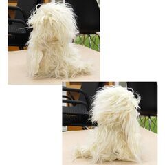 昭和レトロ サンエイトイズ お手入れワンちゃん 犬 約30cm ぬいぐるみ 白 いぬ 長毛 もふもふ 札幌市 清田区 平岡の画像