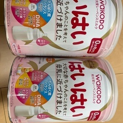 和光堂はいはい粉ミルク810g 2缶　おまけ付き