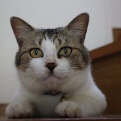 【我が家で元気に暮らしています】