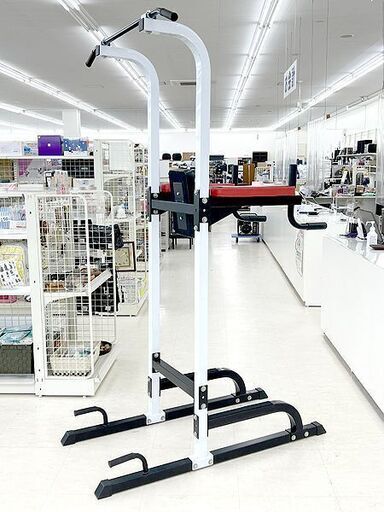 北海道 千歳市/恵庭市 IROTEC（アイロテック）チン&ディップスタンド ぶら下がり健康器 クッション付 懸垂マシン トレーニング 