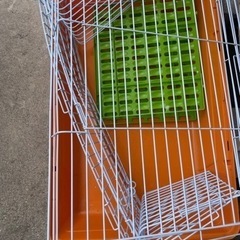 小動物ゲージお届け可能ですの画像