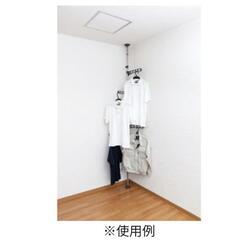 突っ張り洋服かけハンガーの画像
