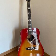 Conqueror CS-27 ハミングバード・ジャパンビンテー...