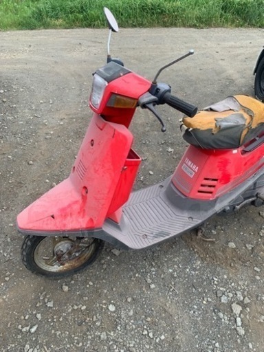 ペリカン　ジョグ　赤　君にあげよう、ピーターパン気分