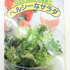 【おみせっち】ヘルシーなサラダ