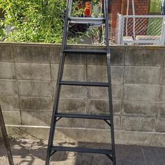 中古の脚立7段