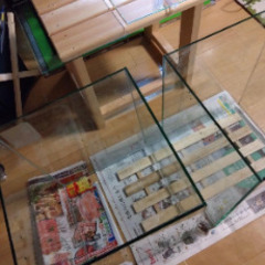 水槽1つ　横幅30cm×縦40cm　ハイタイプの画像