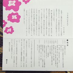 1975年作品 阿以波 京うちわ ハマナス 透かし 切り絵細工 有職京うちわ本舗 江月堂 飾団扇 うちわ掛け付き 伝統工芸 うちは 札幌市 清田区 平岡の画像