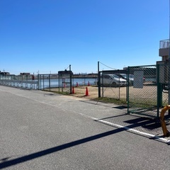 やさしいヨガ／ハタヨガの画像