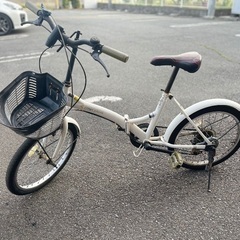 slide_IMG_4701.jpg