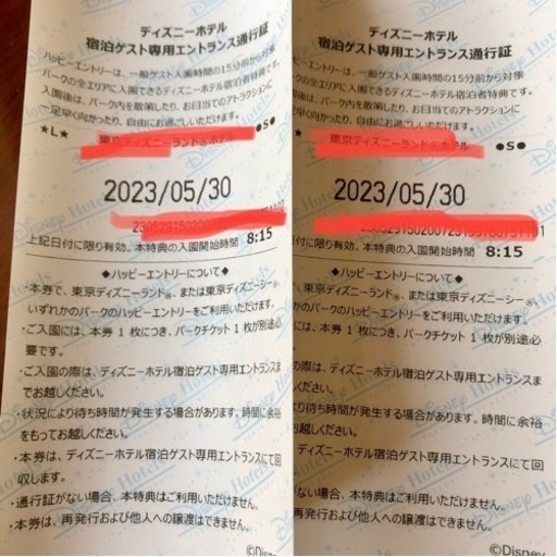 ディズニー　ハッピーエントリー　5/30 大人2枚