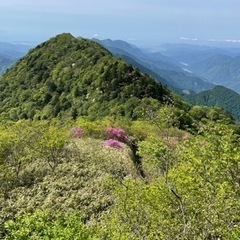 主に週末山に登っています。